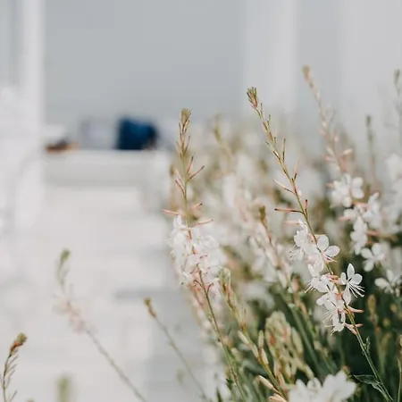 Otel Aether Boutique Glastros (Mykonos)