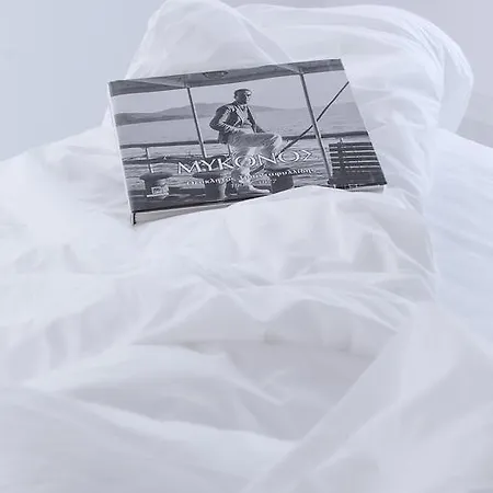 亿瑟精品住宿酒店 格拉斯托斯